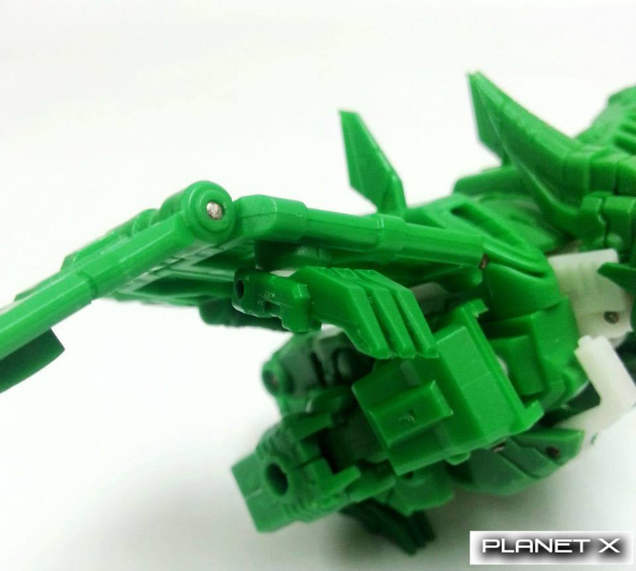 555593_508082839277457_1427938549_n