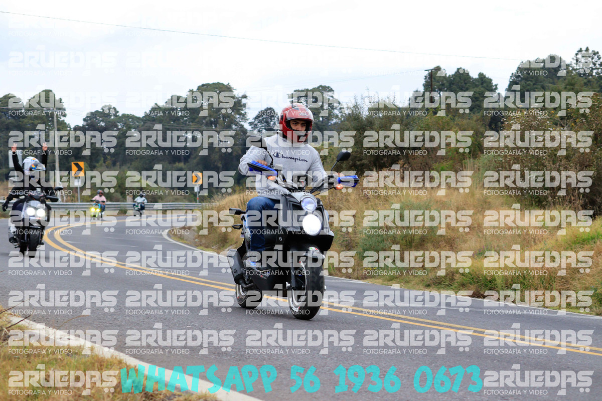 MG 0782 — Postimages