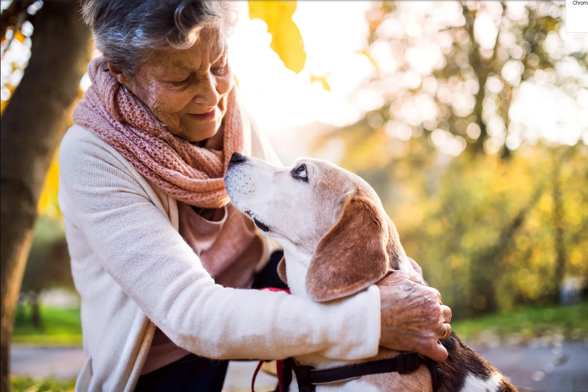 Mascotas: los compañeros ideales para personas mayores