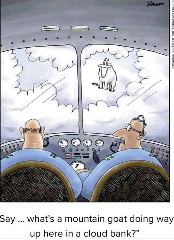 main-qimg-975cd41c4c05213ef9fc734532c8acc6-lq