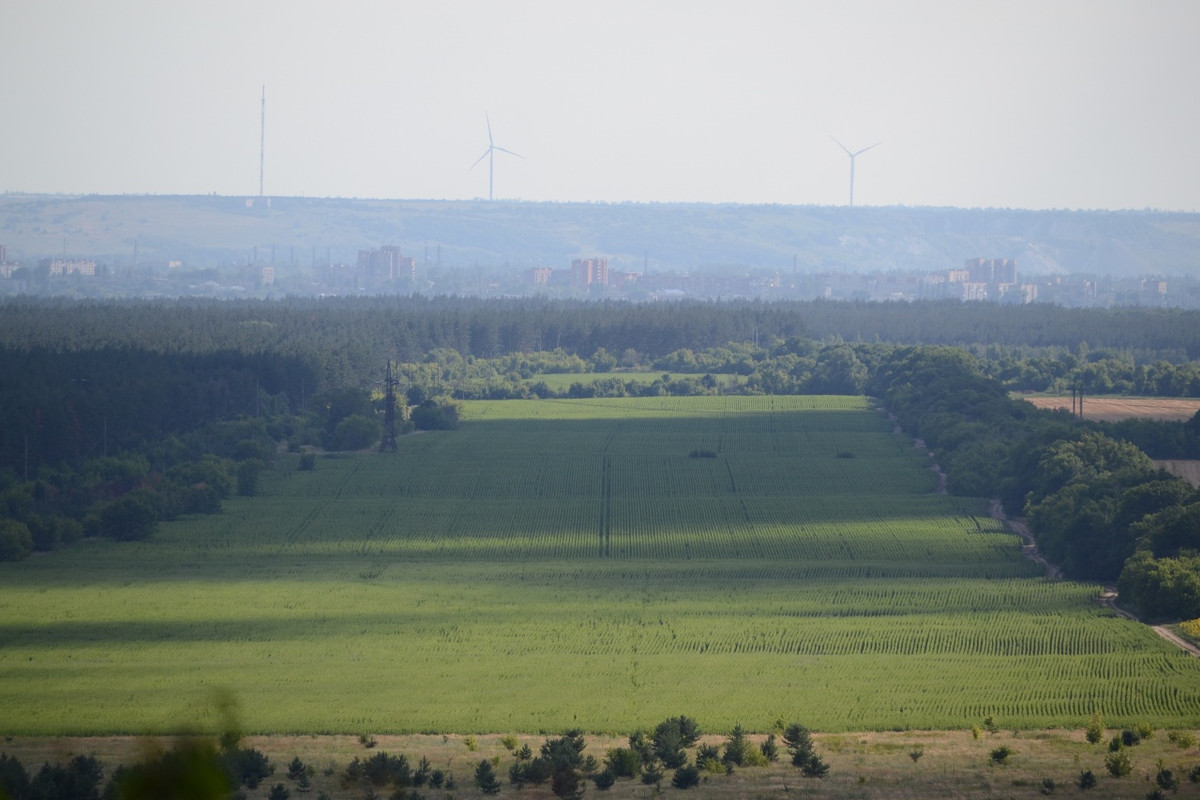 Raigorodok-scape (17)