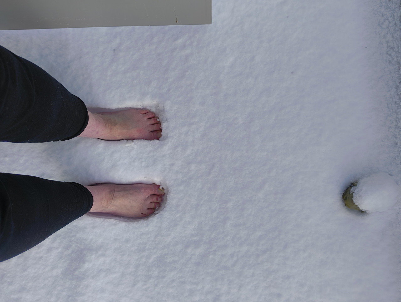 IMG 20260105 134802443