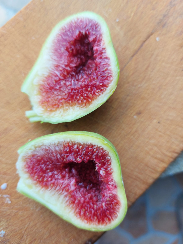 0-02-05-46a9067fdc5c353a571f5bc7db0a42b953b36a3bb8c4354895b671b8d5d995ac_c3aafd30ca2c28d1