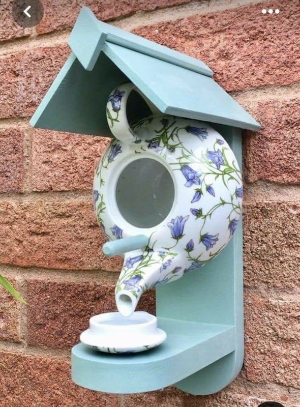 teapot-bird-nest.jpg