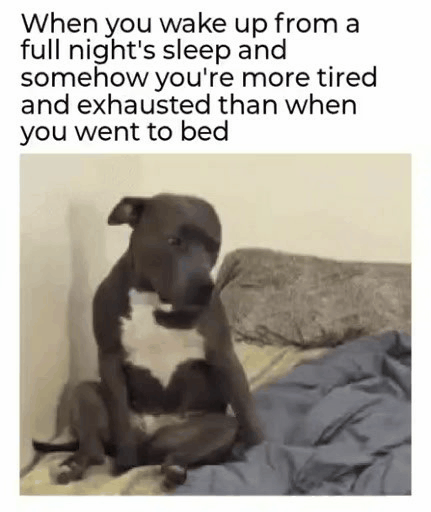 daily-gifdump-3394-27.gif