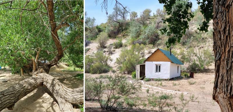Parque Nacional de Altyn-Emel - Érase una caja de sorpresas kazaja (10)
