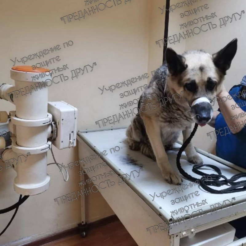 C37F7725-A84F-4F2A-88A6-E710372AFF22