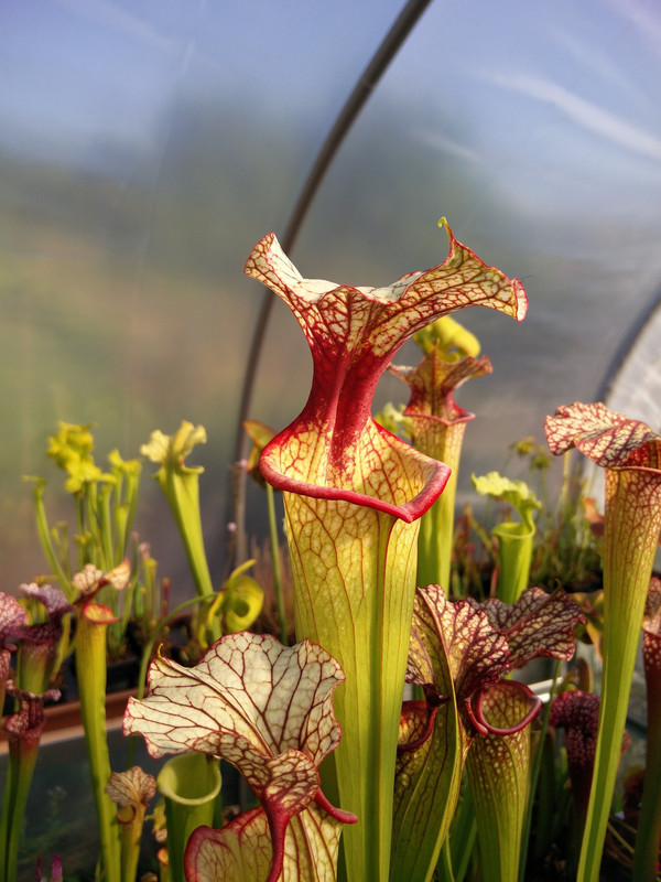 301077636-393473089607891-41292719284596