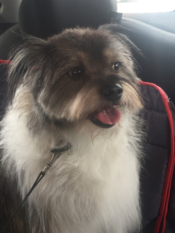 8BA7C93E-BE00-4034-84C5-2ADA60CF9FB6