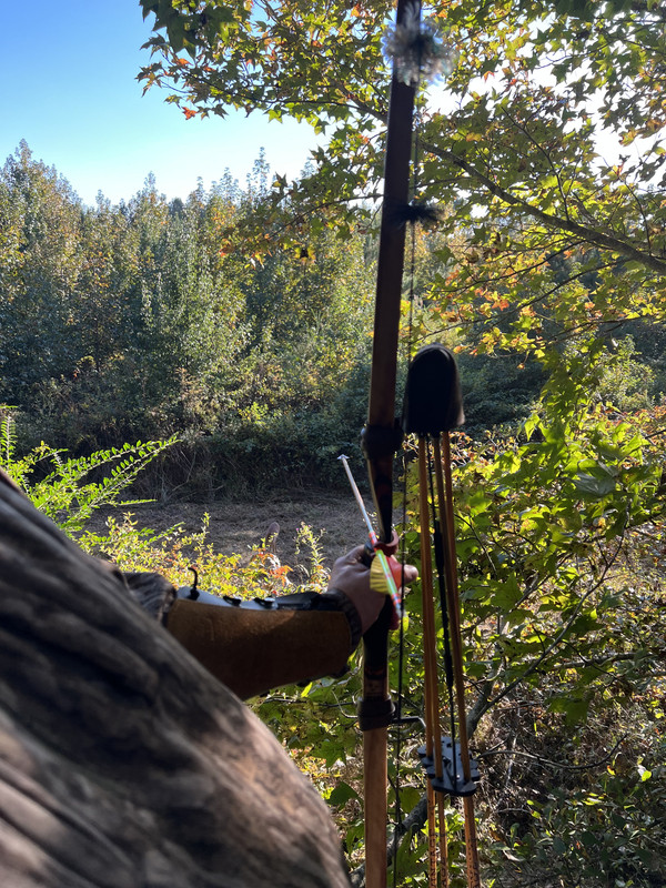 8612BE2D-BAFE-43C5-A999-965EB24FE4CF