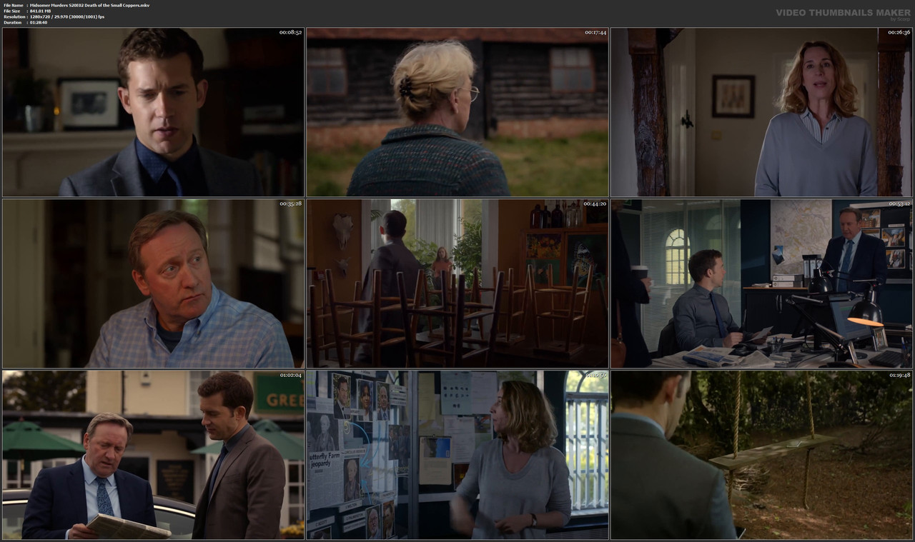 Midsomer Murders S20E02 Death of the Small Coppers.mkv