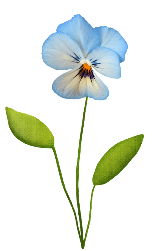 cicek_png (30)