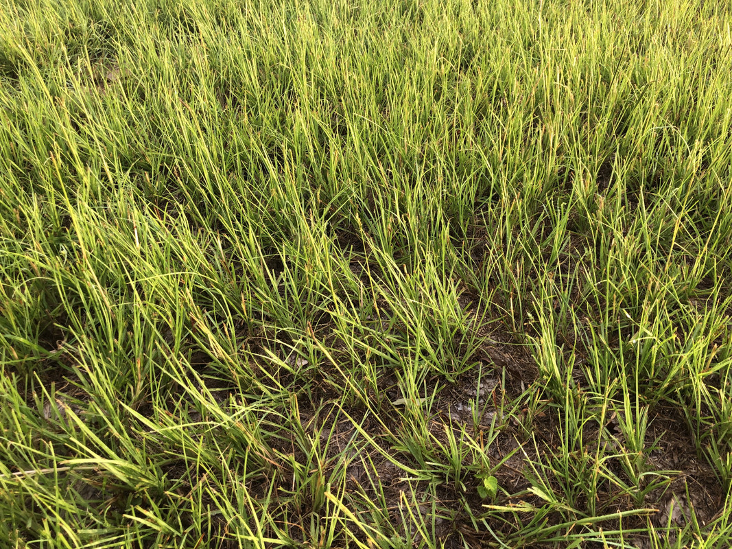 1ADF69F4-F869-4E04-80ED-6F9E069488C3