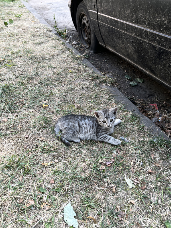 B61CDA77-4C76-416D-A7B7-A8C728D888B5