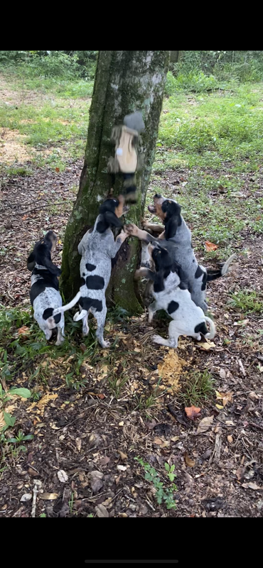 A5D129C8-7557-4235-BEF9-AD12CE0D9F38