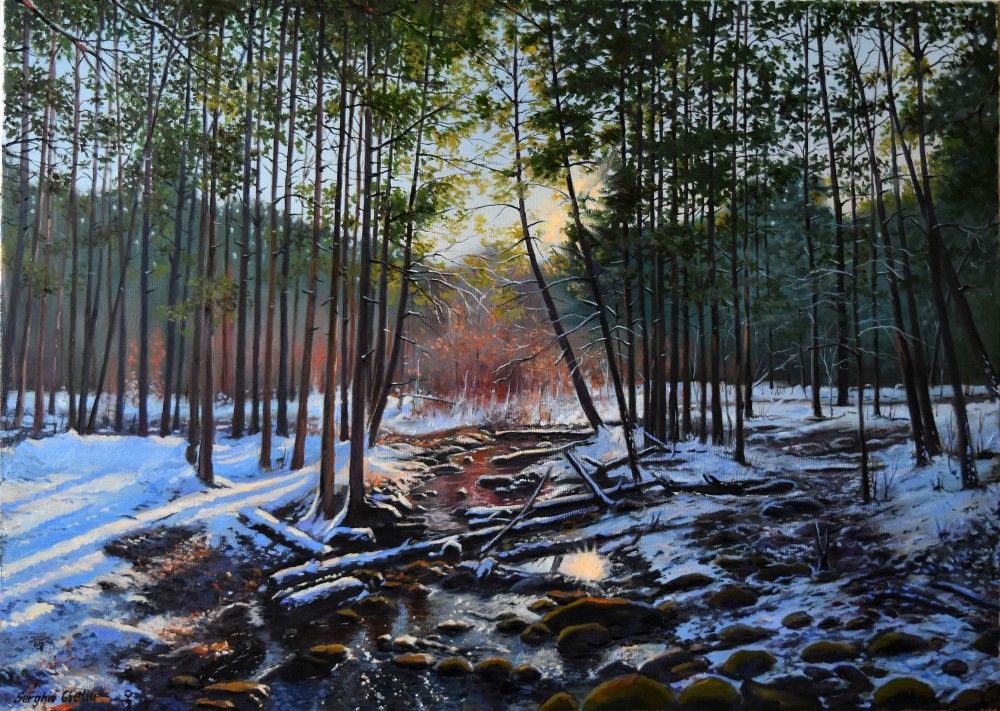 serghei-ghetiu-giclee-art-print-for-sale-winter-forest