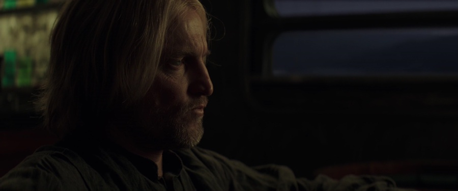 The Hunger Games: Mockingjay - Part 2 2015 BluRay [Hindi + Tamil + Telugu + English] 480p, 720p, 1080p ESub Screenshot