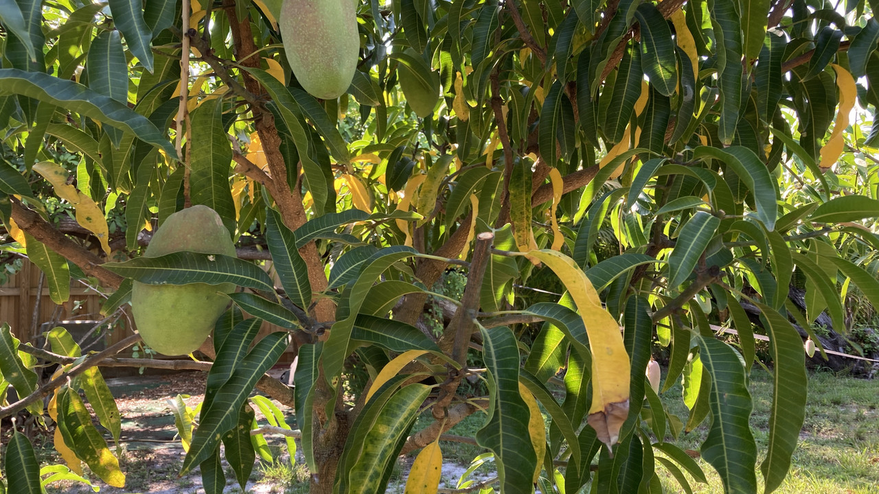 EFB84133-4A7B-428D-8FD3-1E55BCA64379