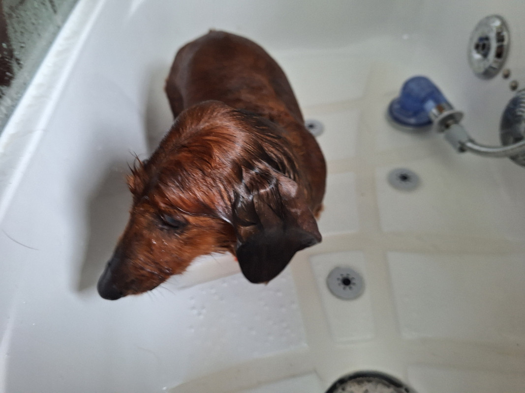 [Image: 20240506-150050.jpg]