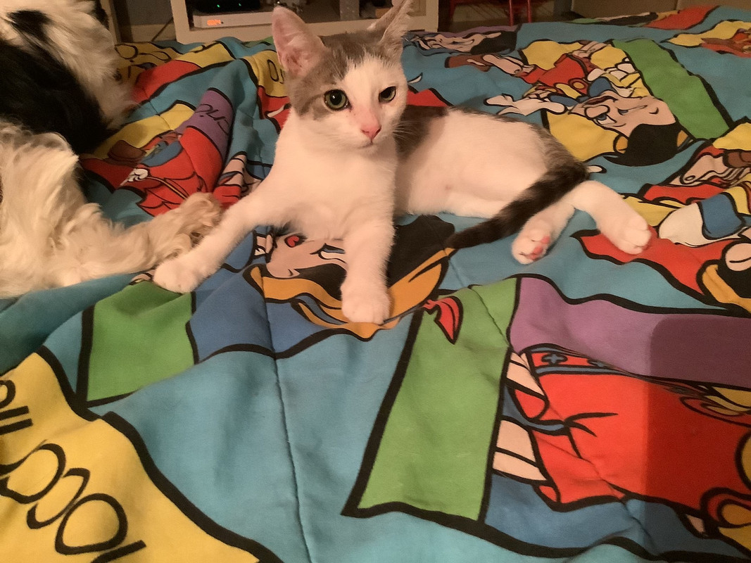 F222B9AE-9661-4876-8816-1125D74EF826