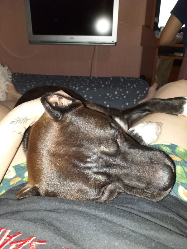 1AA8B093-3F28-4FEB-A8AC-341C741DDC94