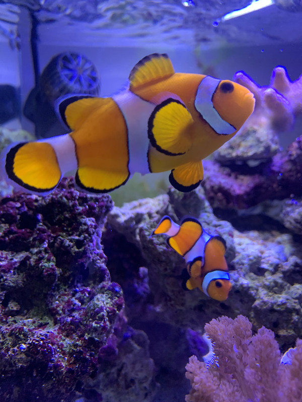 E08F8966-CB24-45ED-83B9-2C27E640D18A