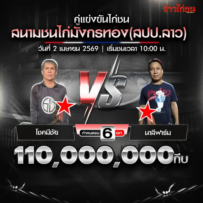 โชคมีชัย พบ นาลีฟาร์ม สรุปผลไก่ชน สนามชนไก่มังกรทอง