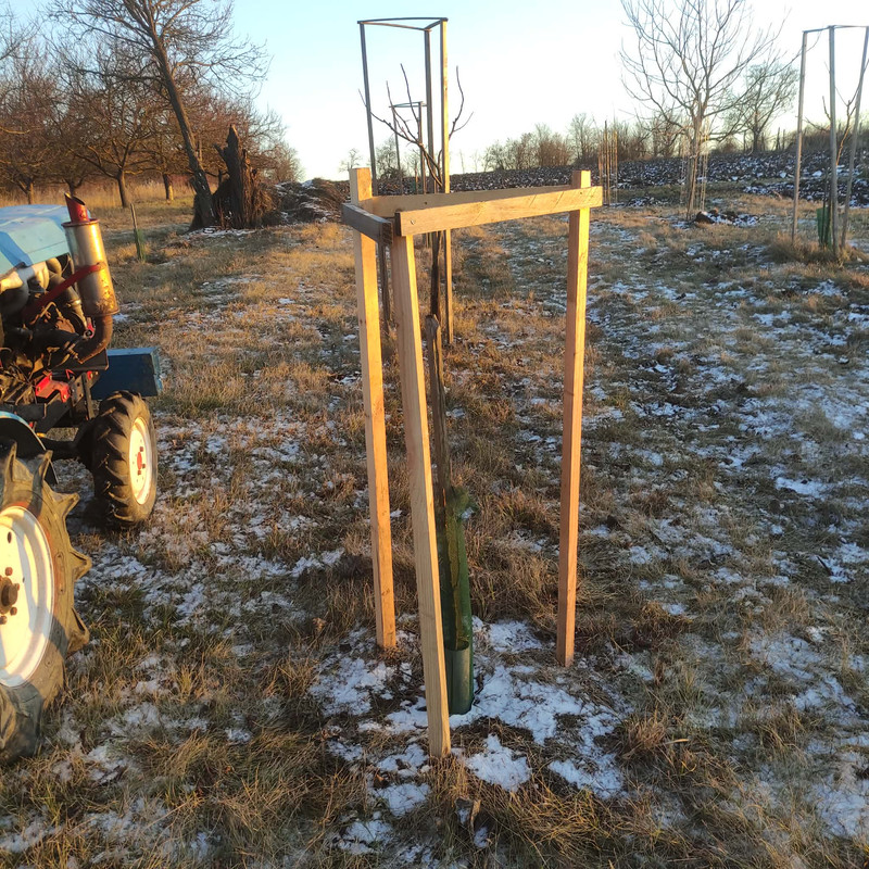 605157716 2444941272567126 8161800487811488668 n