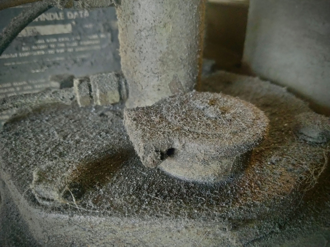 IMG_20220617_113903~2