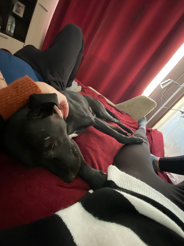 82F03FA8-4655-4507-AC59-E3FDBC22E9F2