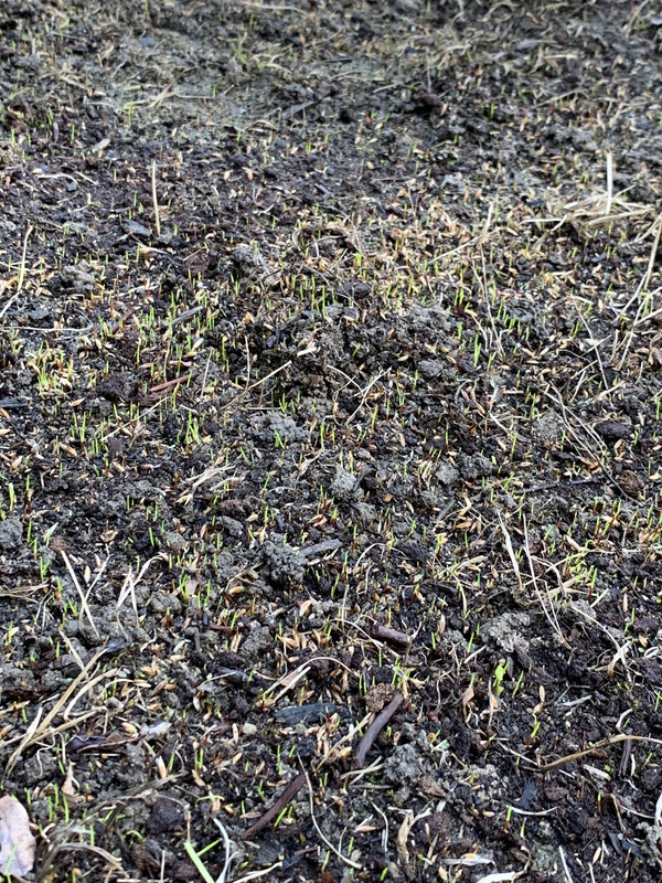 C8267A7B-1F6B-4FE0-80FF-34B4B1EB1F7B