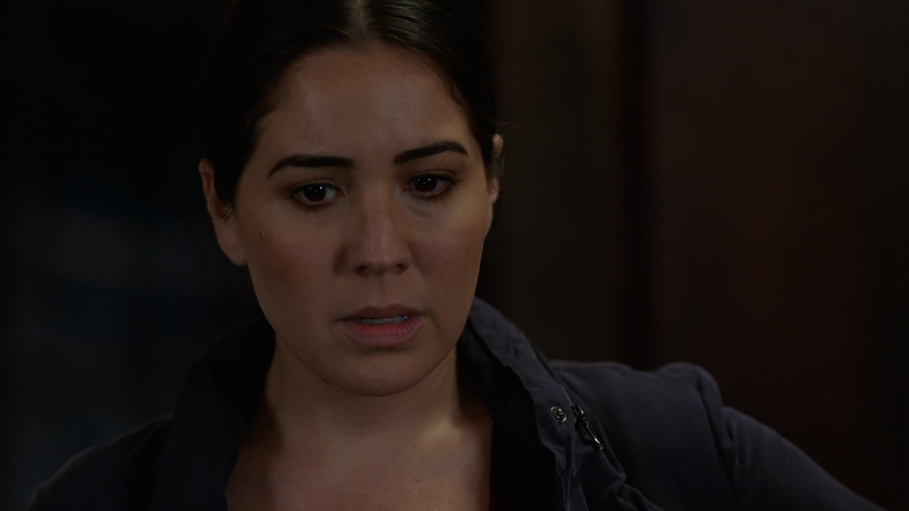 Blindspot (2015) S05E03 (1080p AMZN WEB-DL x265 HEVC 10bit AAC 5.1 Vyndros)