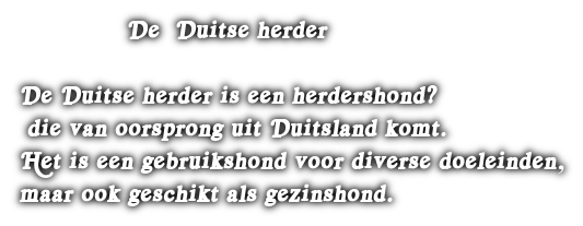 cooltext395187471186782