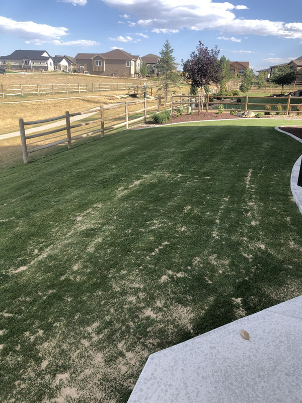 4DC9E2D3-3A16-464A-865C-6271E006A068