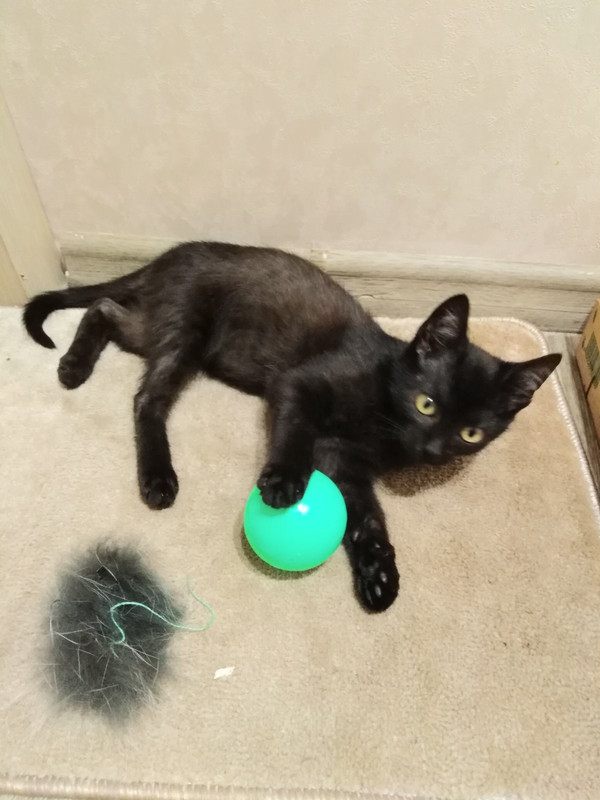 IMG-32d1fed9e069c9051b4a83f999c1cc9e-V