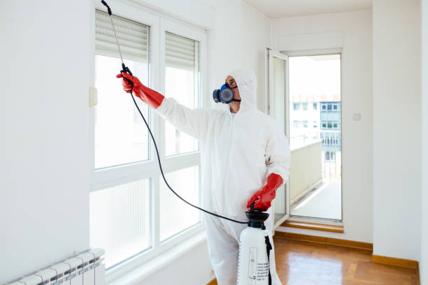 Orlando-Pest-Control-6.jpg