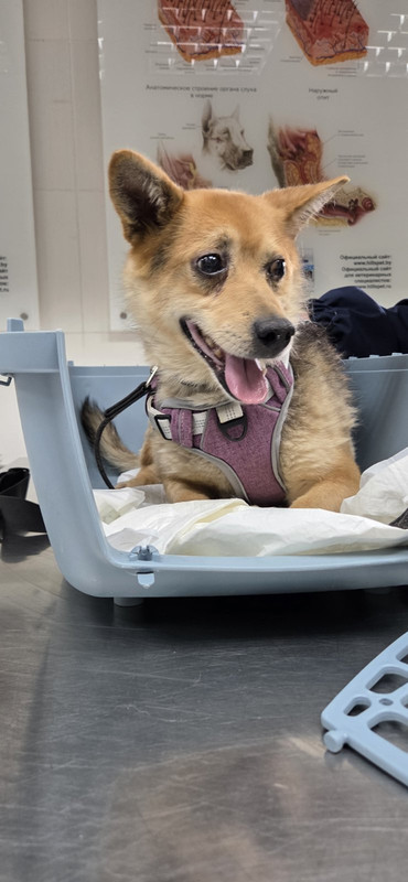 IMG-edd043bbbced10f4067b2b2b3e5167e1-V