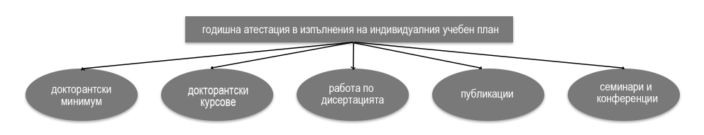 Обучение на докторанти  - етапи