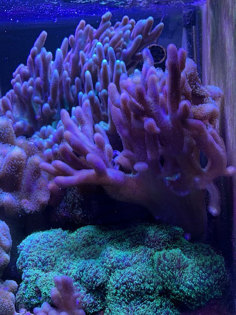 7D87554F-42DF-45CA-BBAC-189771E0B573