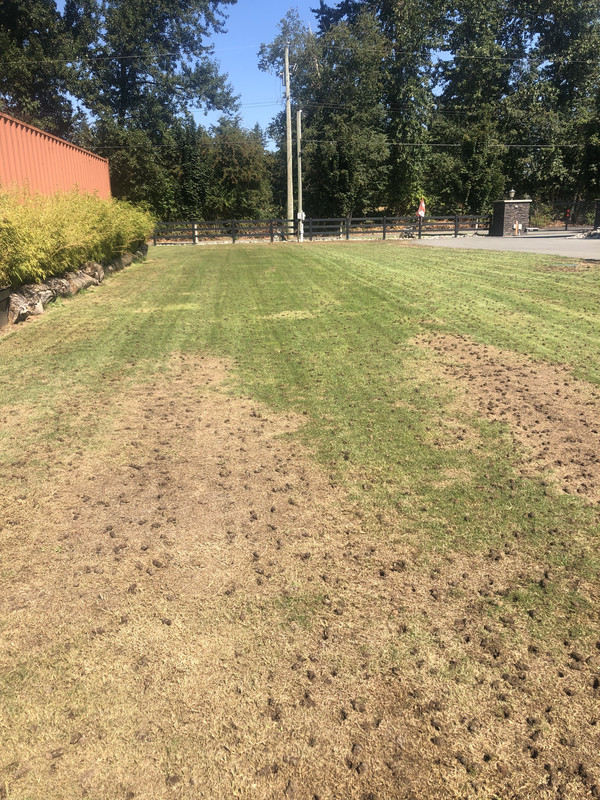 94F972B1-515A-4FEF-A644-A871AE001F2B