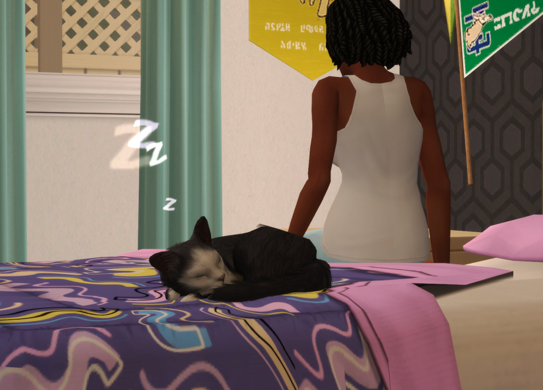 Sims2-EP9-RPC-2024-02-25-21-17-17-20