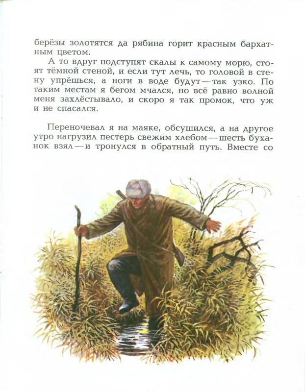 Читать рассказ скрип скрип. Казаков скрип скрип. Казаков скрип скрип рисунок. Рассказ Казакова скрип скрип читать. Рисунок скрип сказка.