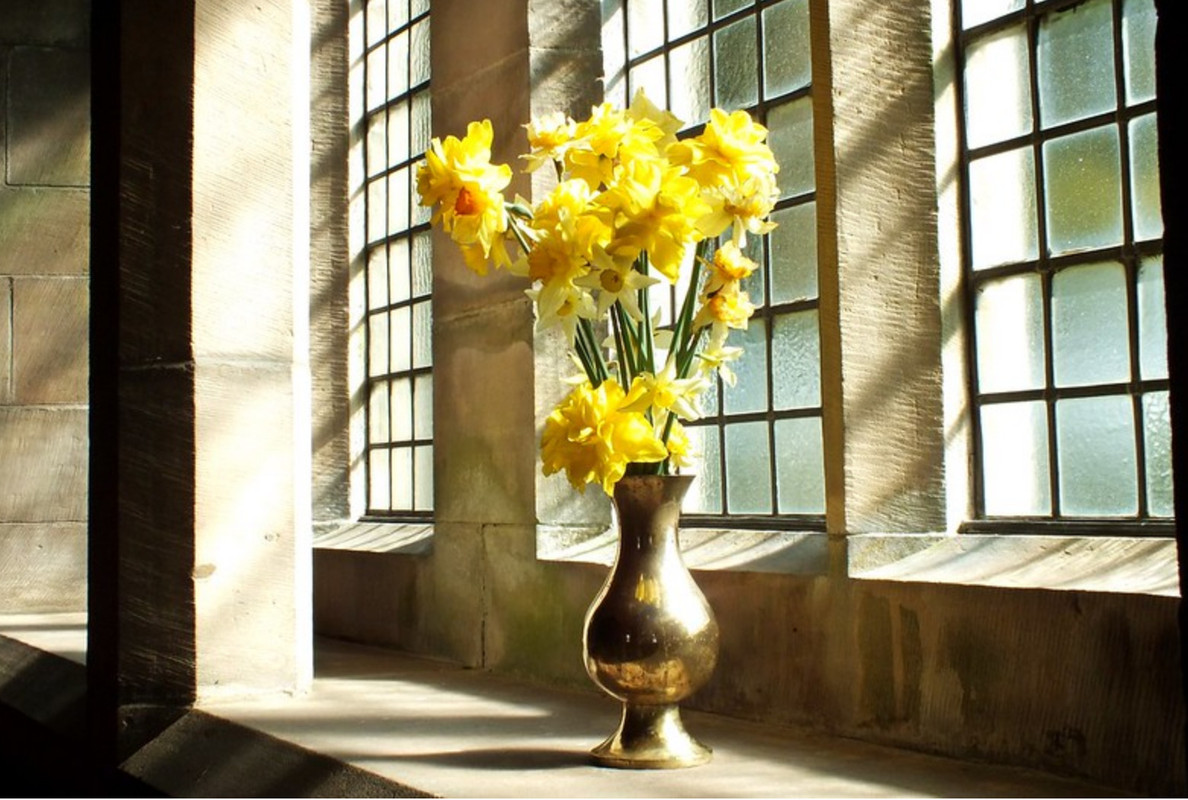 yellow-flowers-brass-dis2.jpg