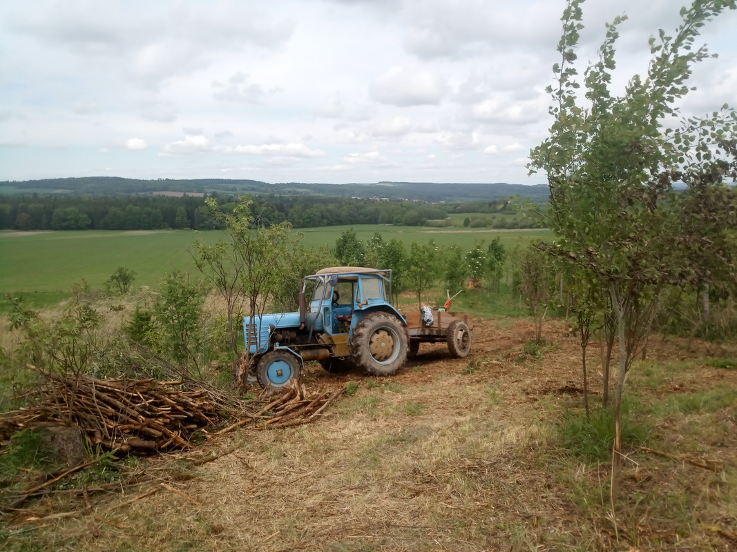 IMG_20250504_130254_886