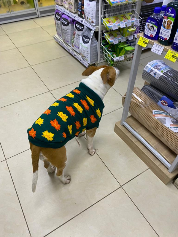 5E67E1E5-05AD-44B7-ABBB-52AC1EDDFDBC