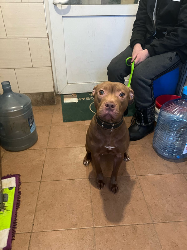 WhatsApp Image 2024-02-04 at 19.39.33 (2)