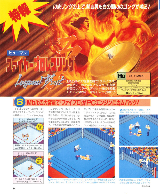 GAME/JEU NEC PC-ENGINE HU-CARD RARE JAPANESE Fire Pro Westling 3 Legend