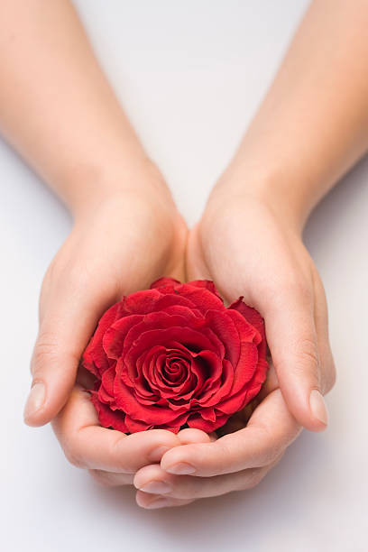 istockphoto-157525645-612x612.jpg
