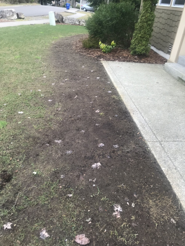 D1EB5799-76B6-4197-8EA0-0A18EA3E6F1D