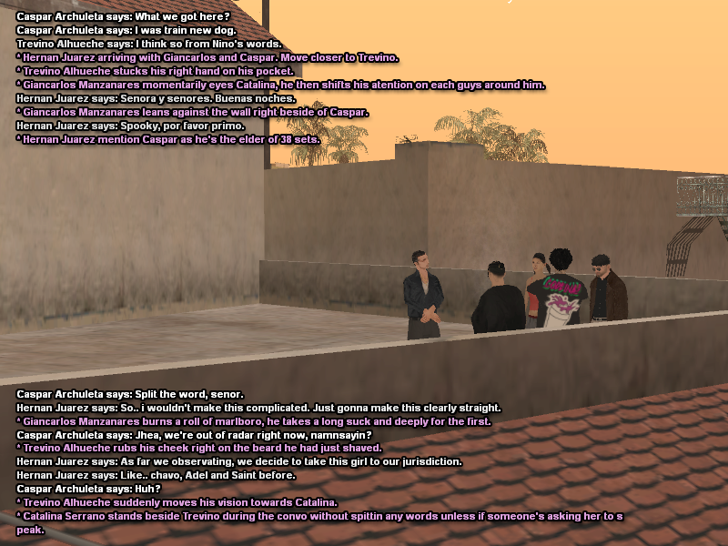SS117.png